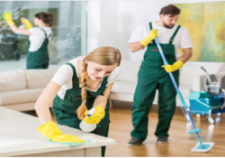 Save Your Time with the Best Cleaning Service